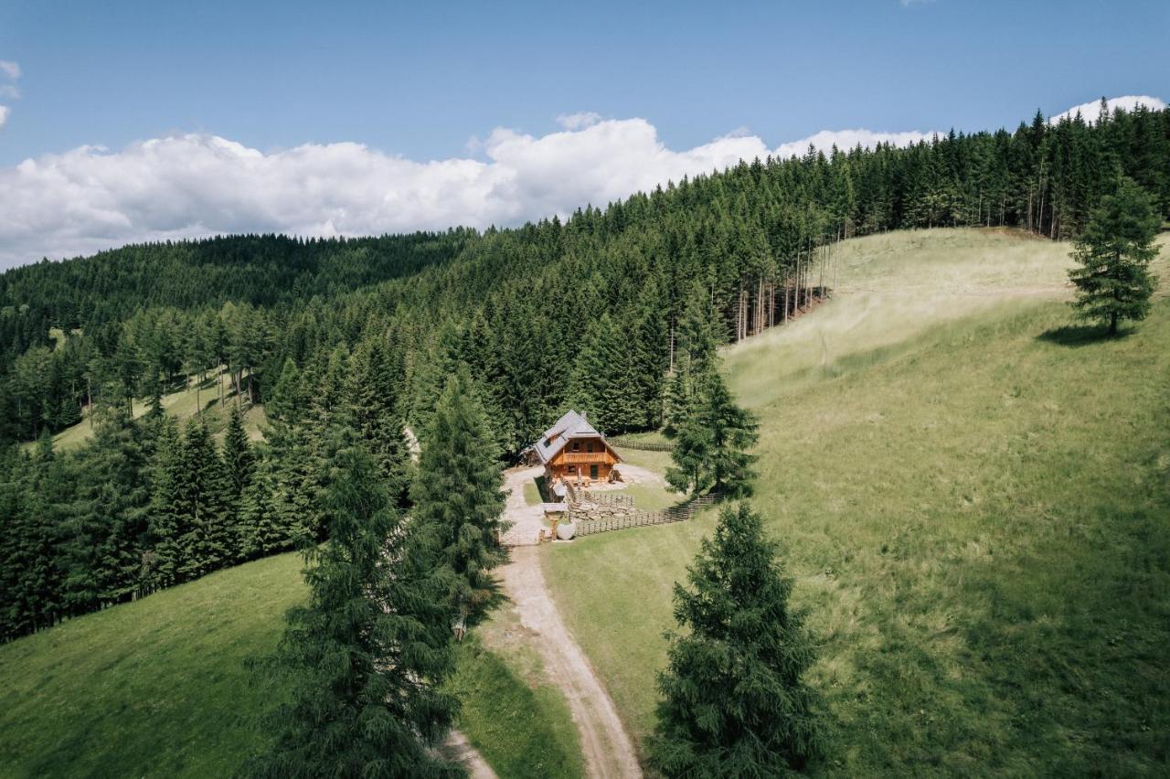 Webertonihuette Vila Bad Sankt Leonhard im Lavanttal Exterior foto
